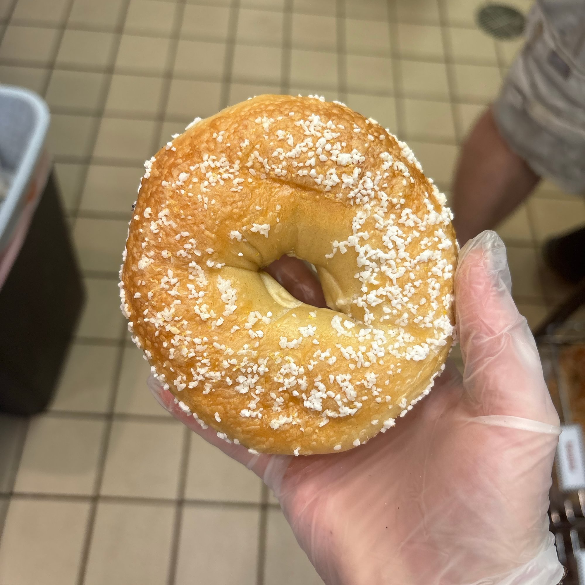 Salt Bagel