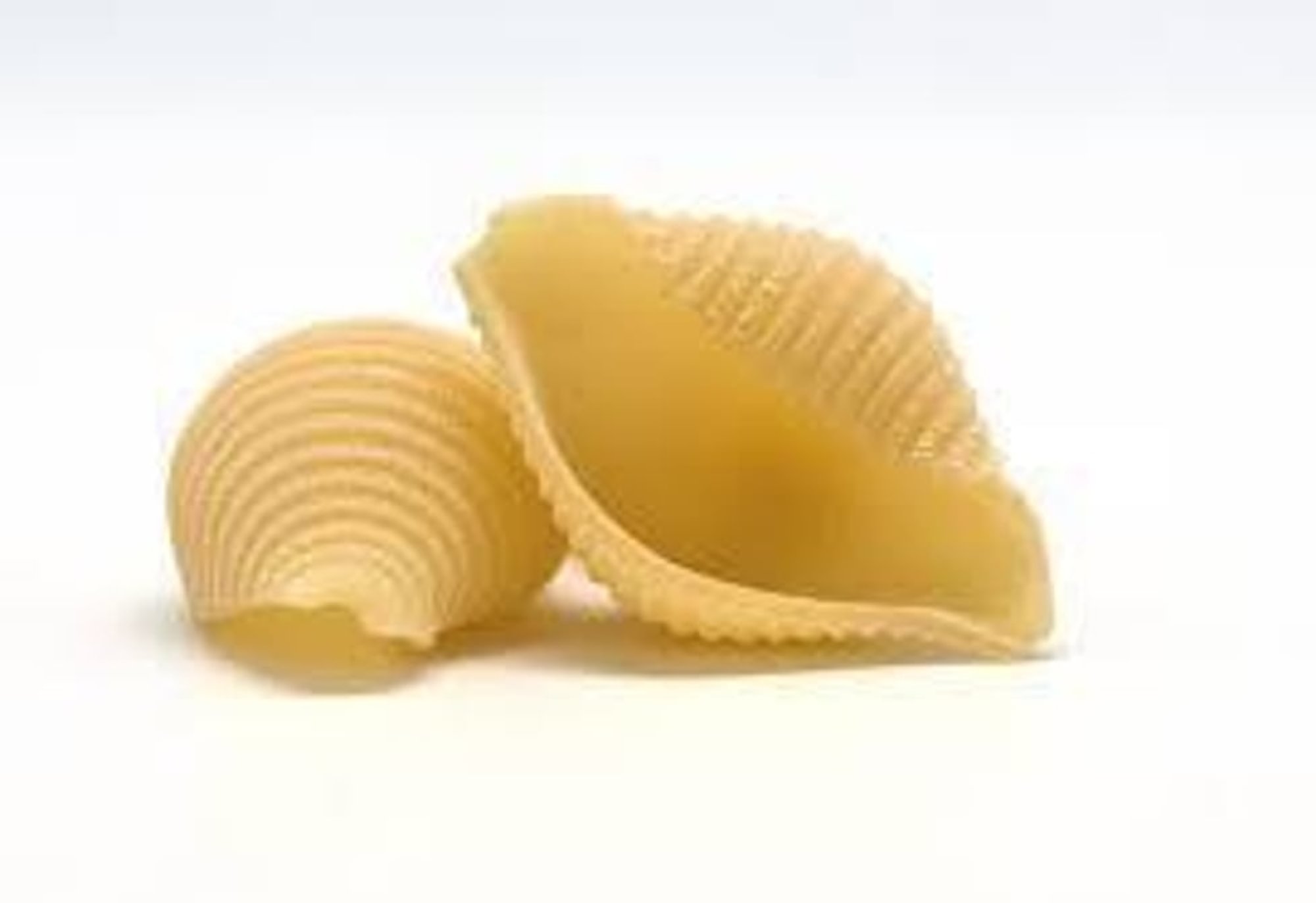 Shells