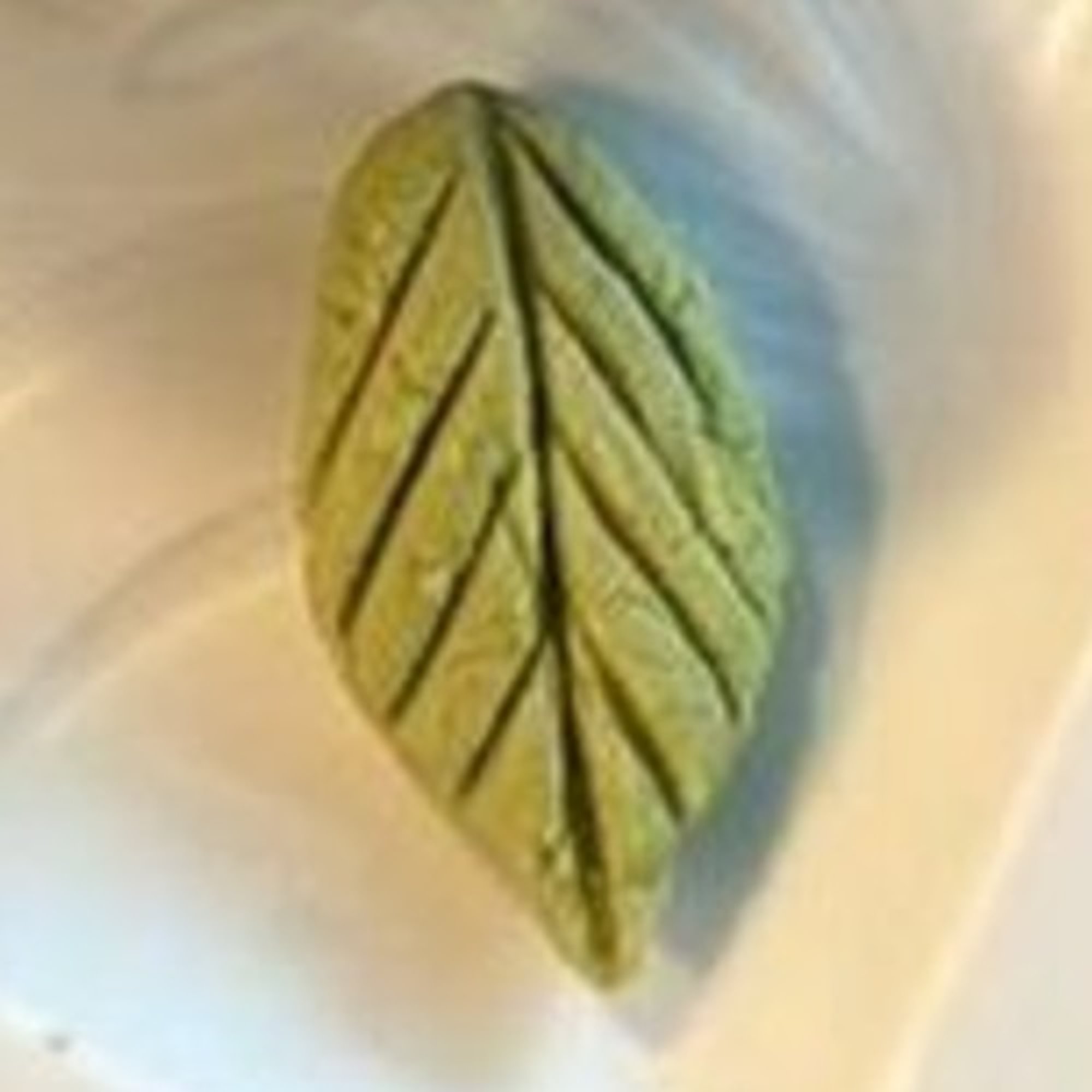 Wasabi