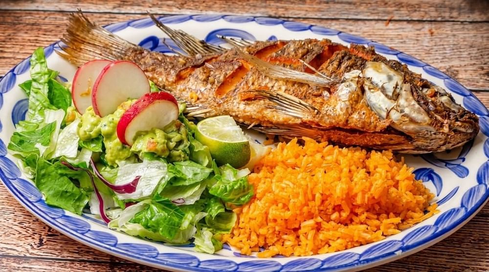 Mojarra Frita