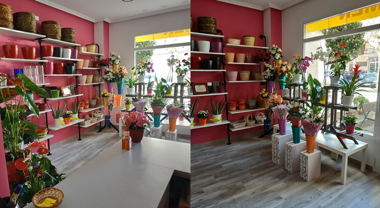 Galería en miniatura