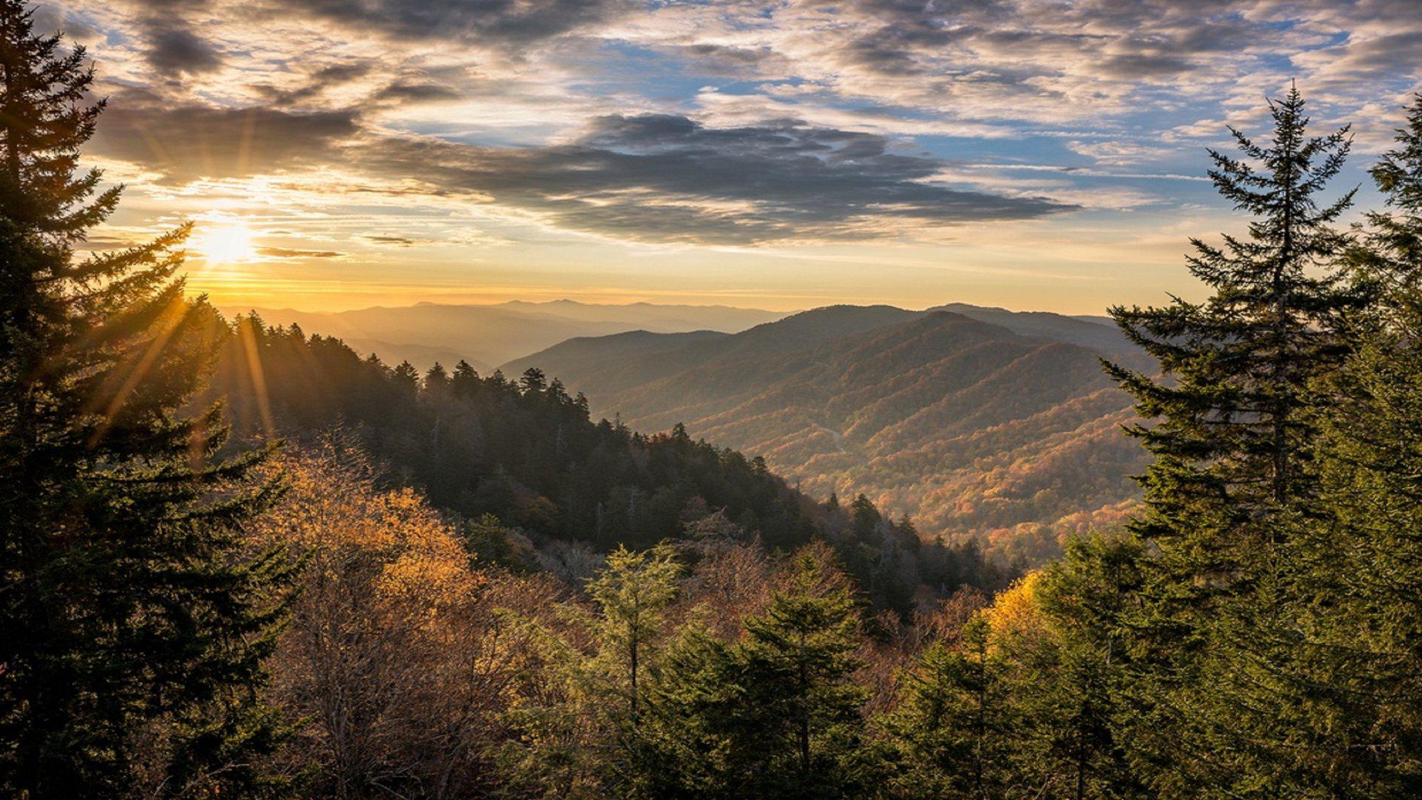 Candlewood Suites Knoxville Photo