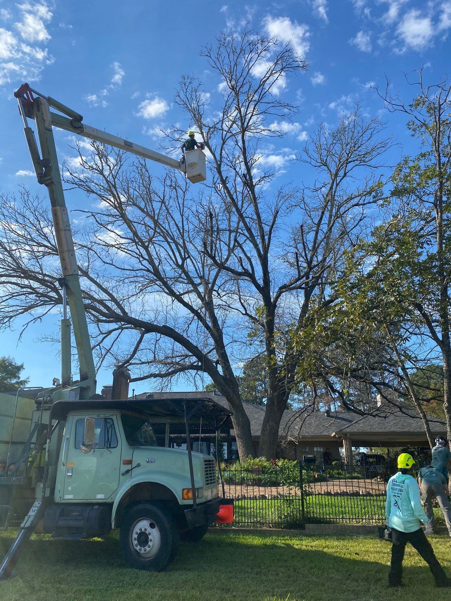 Glenn's Tree Service LLC Image