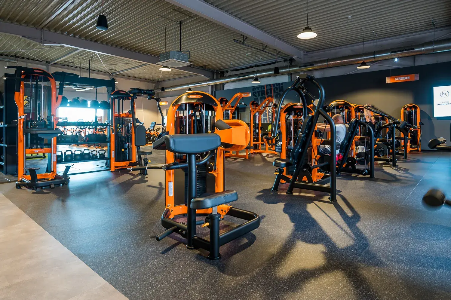 Miniature de la galerie