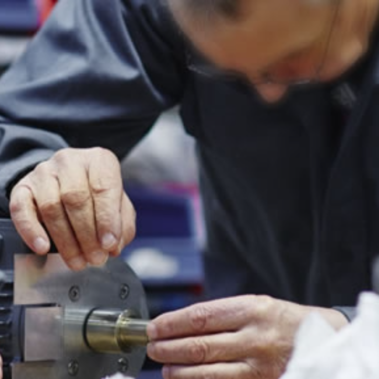 Galería en miniatura