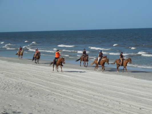 Beach Horseback Rides