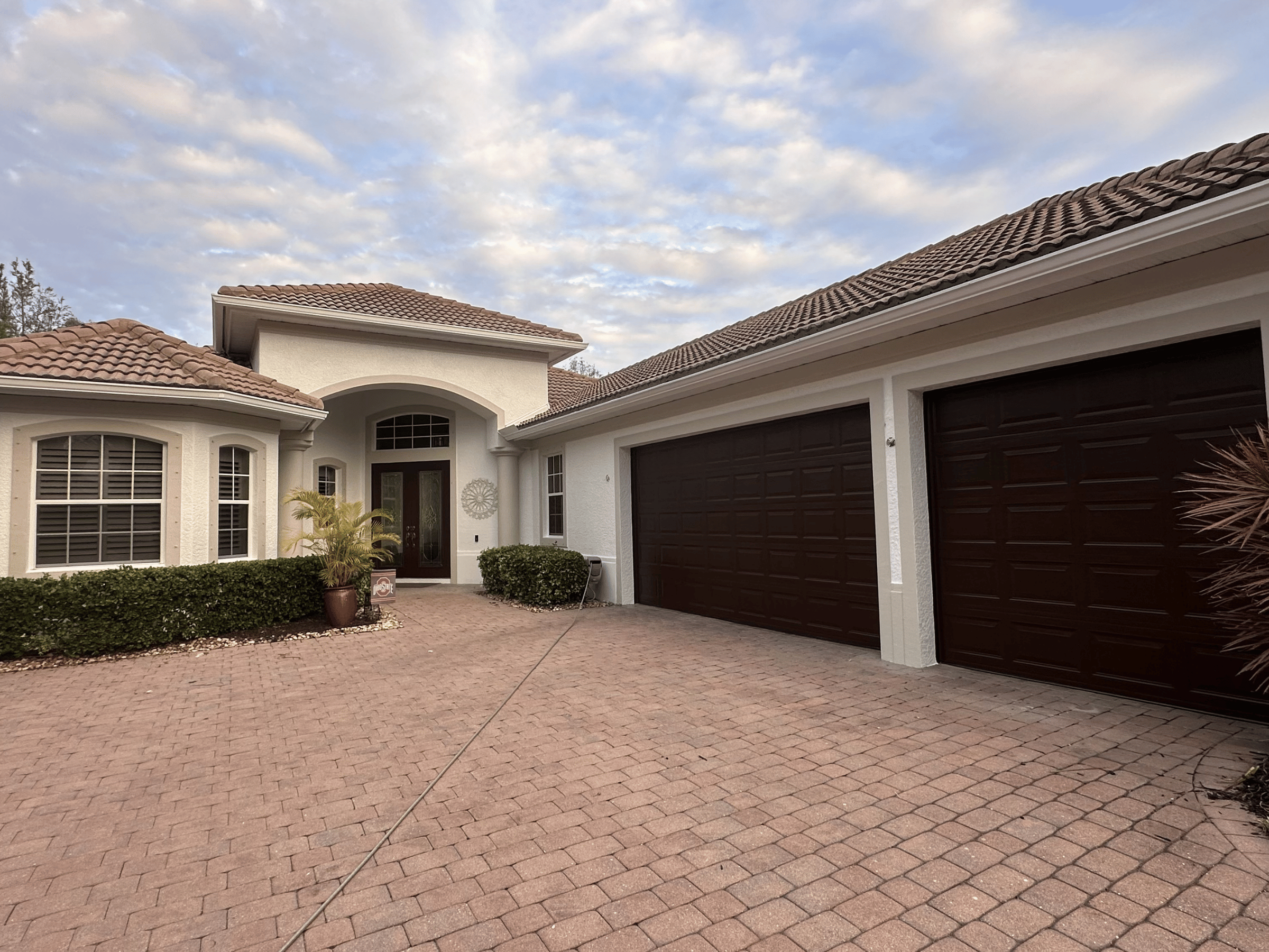 Peach Painting Image