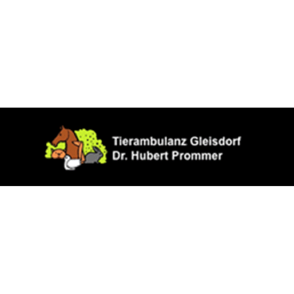 Tierambulanz Gleisdorf - Dipl-TA Dr. Hubert Prommer - Logo