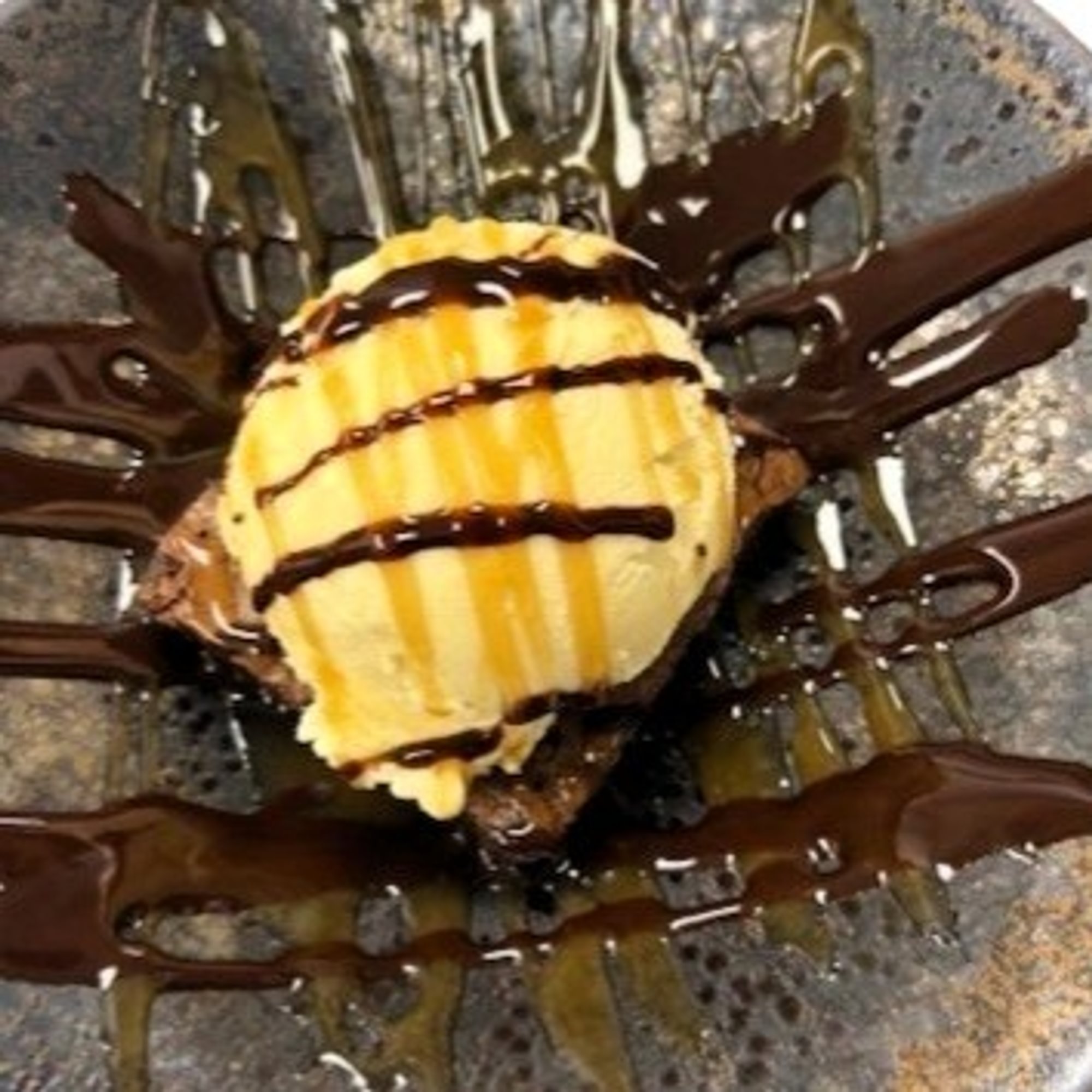 Sushark Brownie Bliss