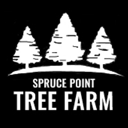 Spruce Point Tree Farm Logo