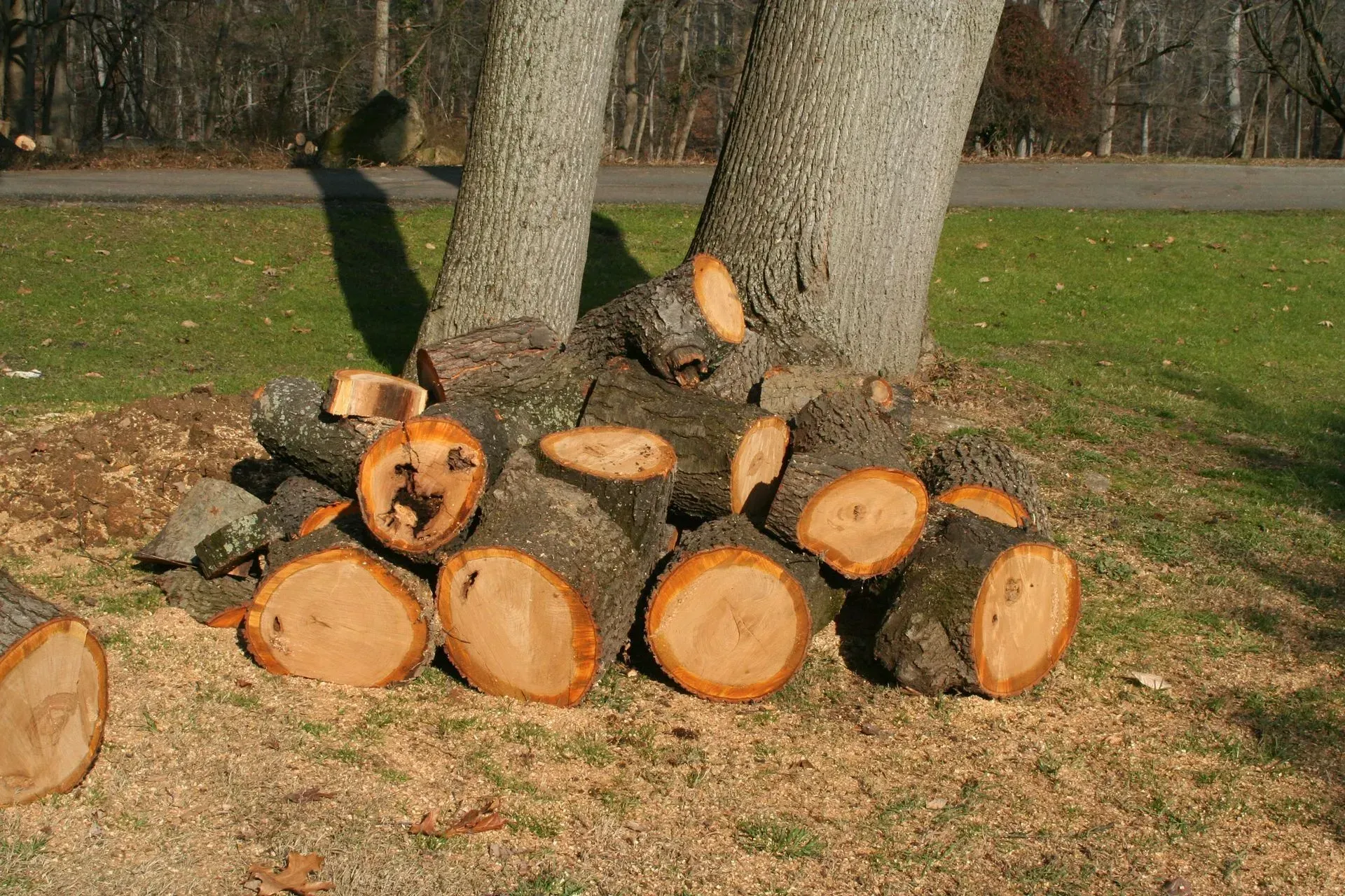 Wood Services