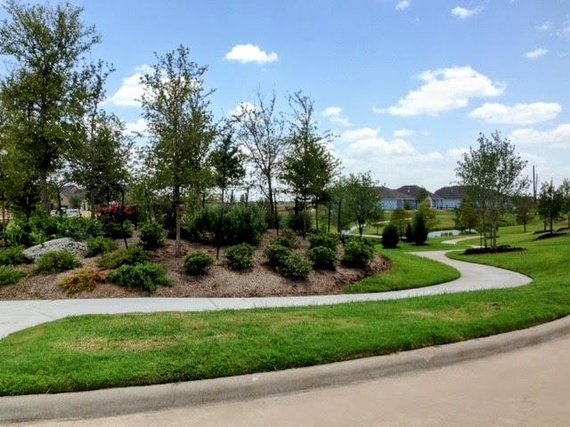 Maldonado Nursery and Landscaping Image