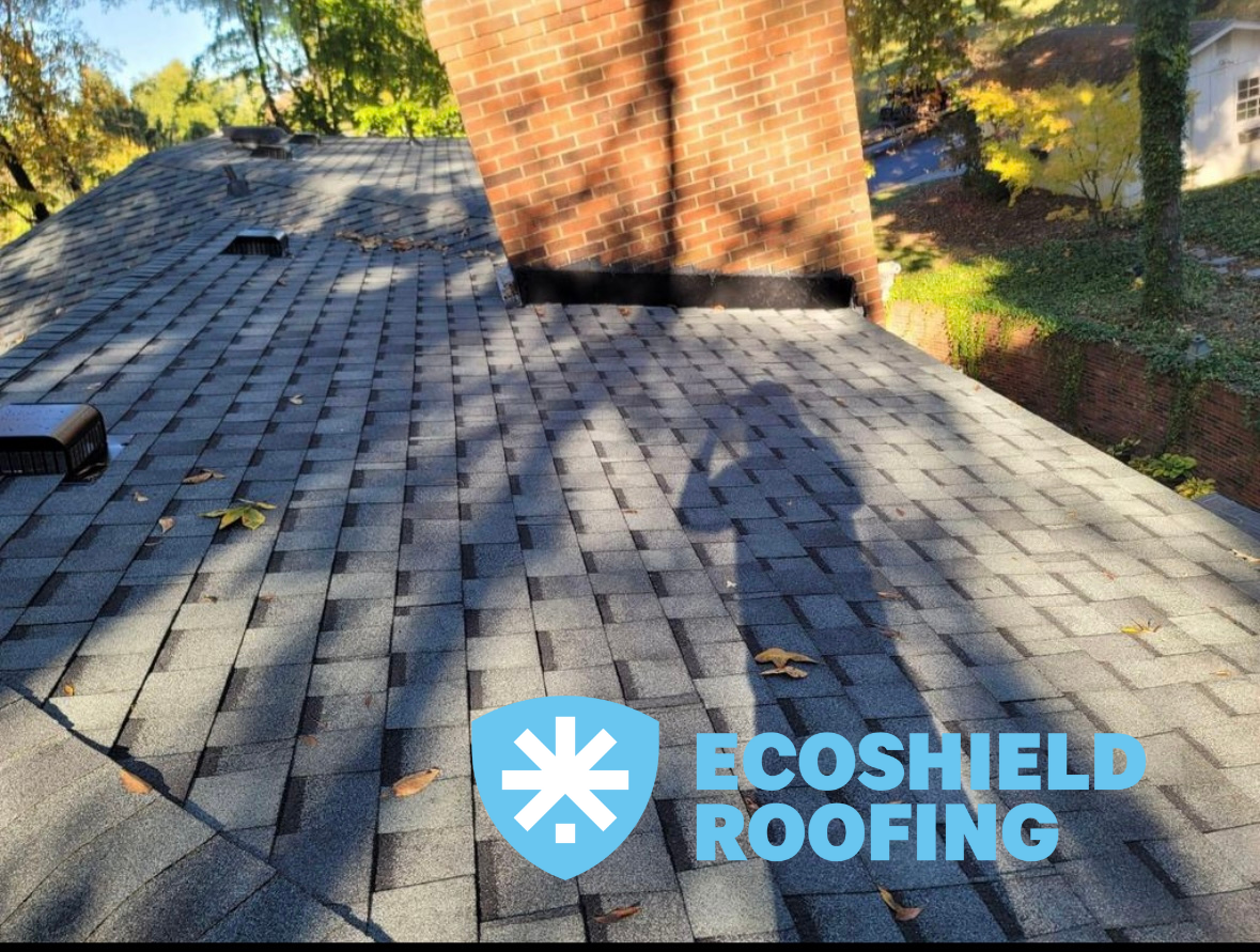 EcoShield Roofing Image