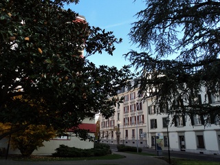 Galerie-Thumbnail