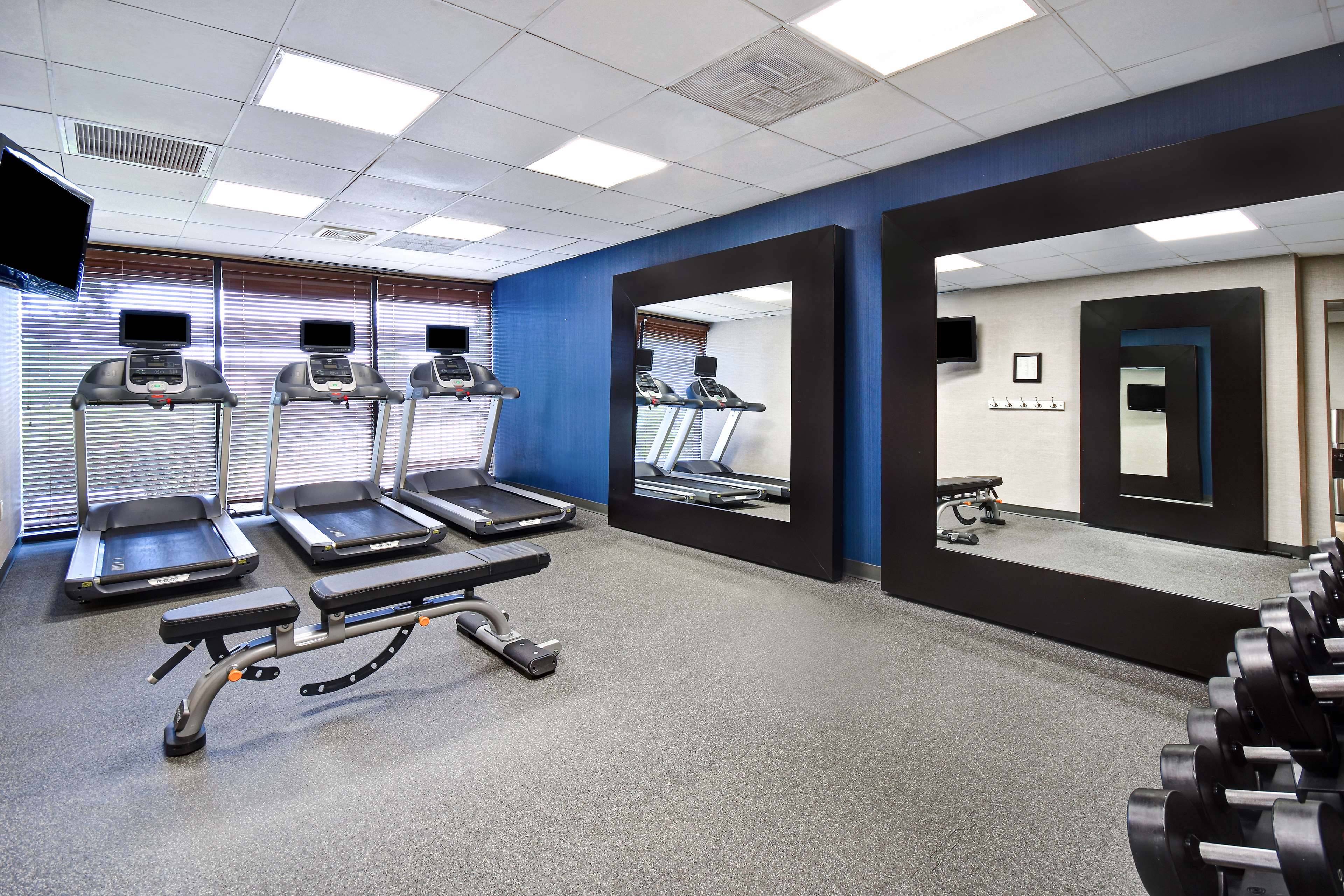 Health club  fitness center  gym