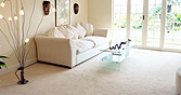 Regal Carpet Cleaning Photo