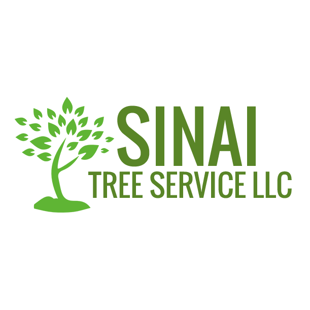 Sinai Tree Service LLC Stump Removal Dayton, OH 45406