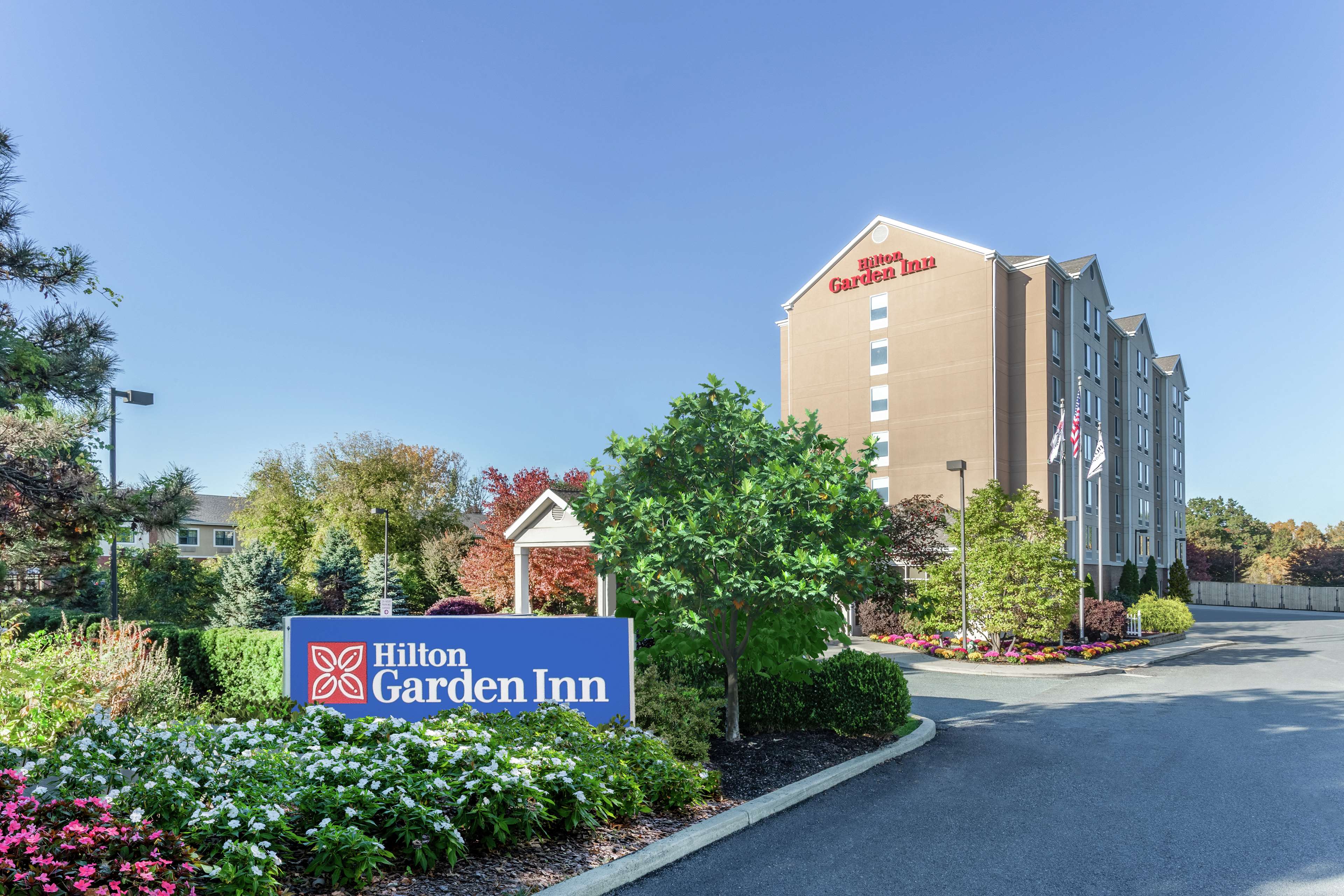 Hilton Garden Inn Albany/SUNY Area Photo