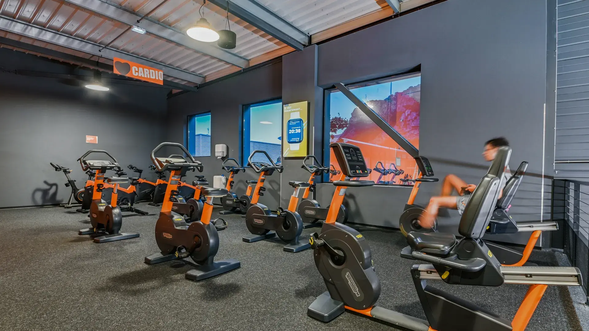 Miniature de la galerie