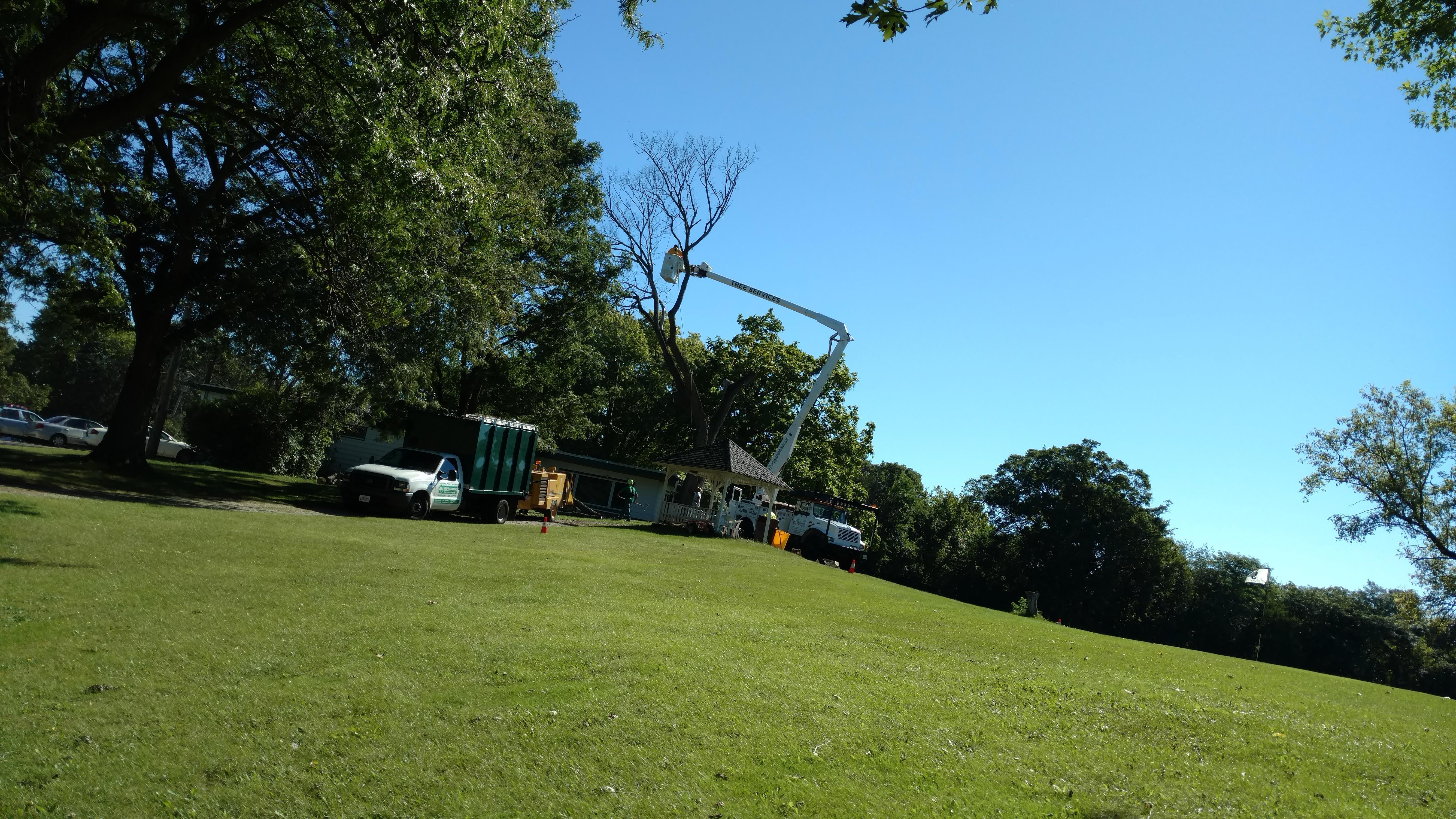 New Beginning Tree Service Company Image