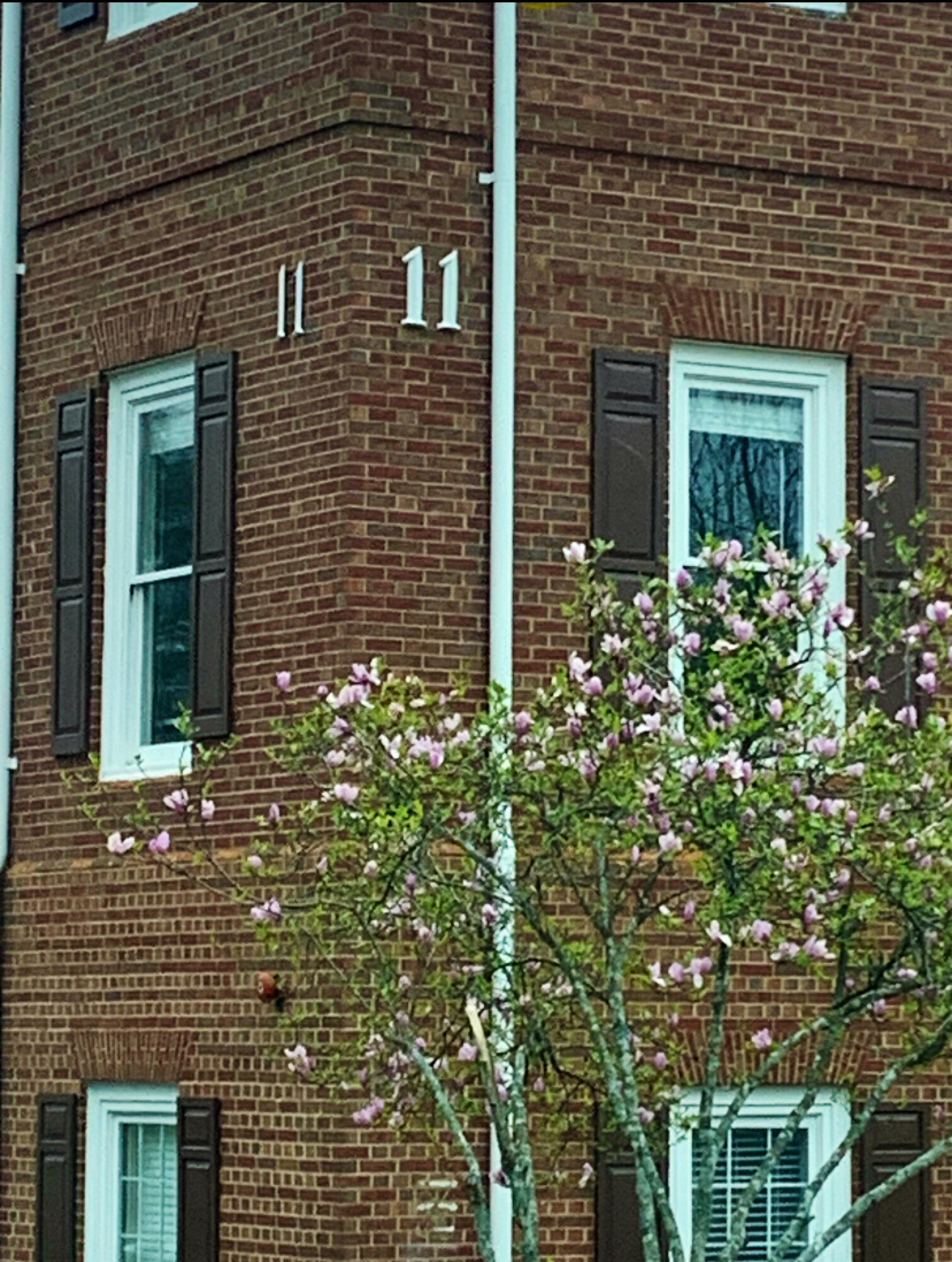 First Alternative Chiropractic Image