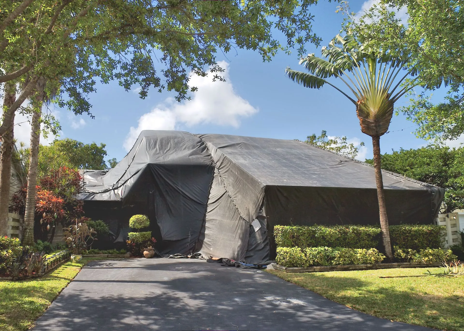 Residential Fumigation