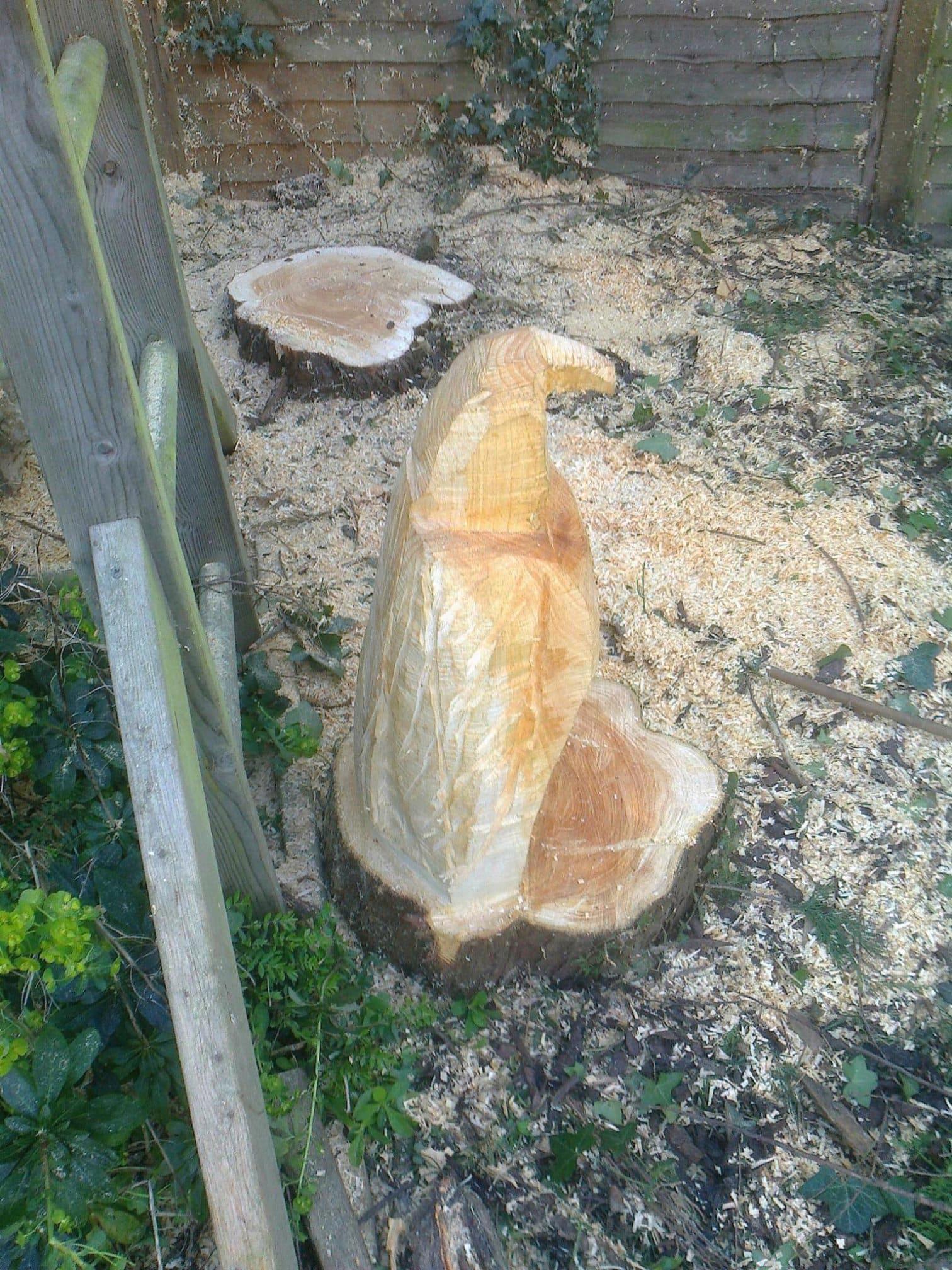 Images Tree & Garden Services