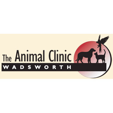 download animal clinics