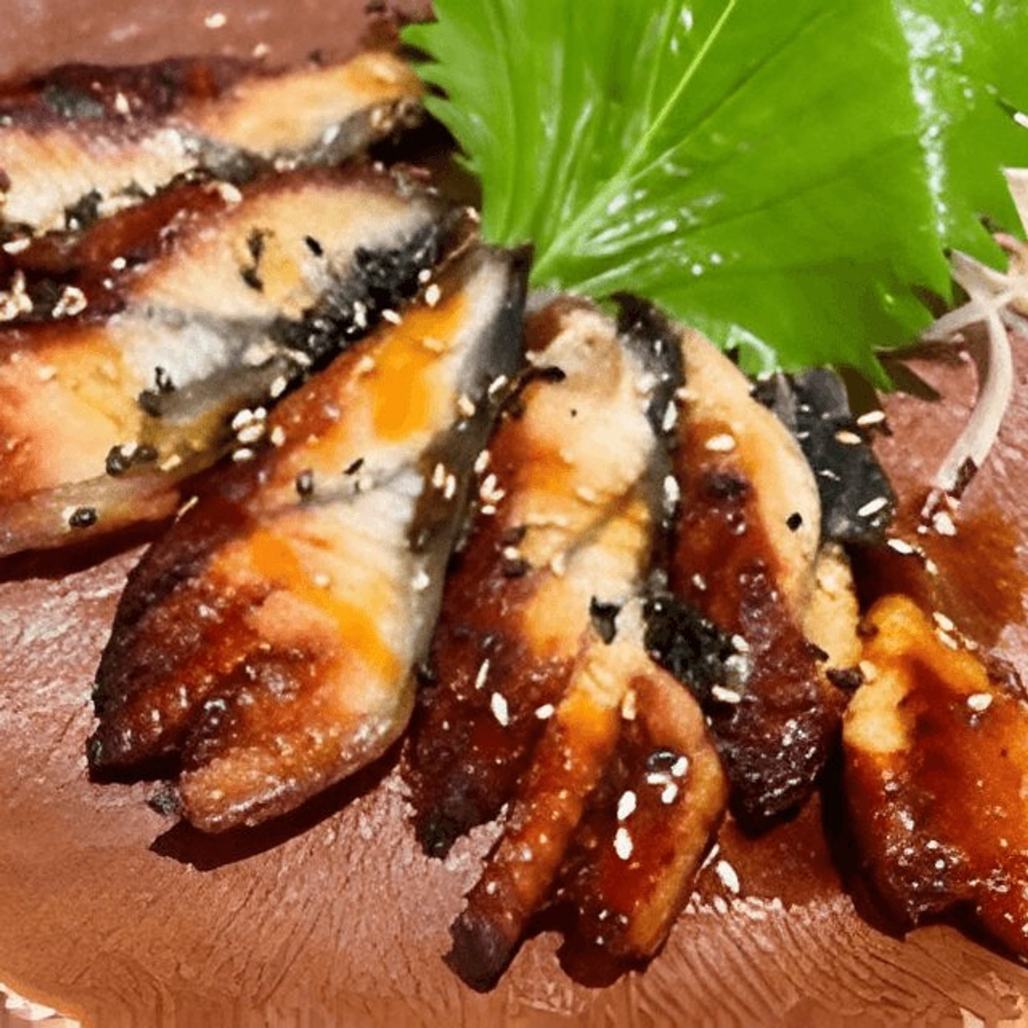 Freshwater Eel /Unagi Sashimi (5pcs)