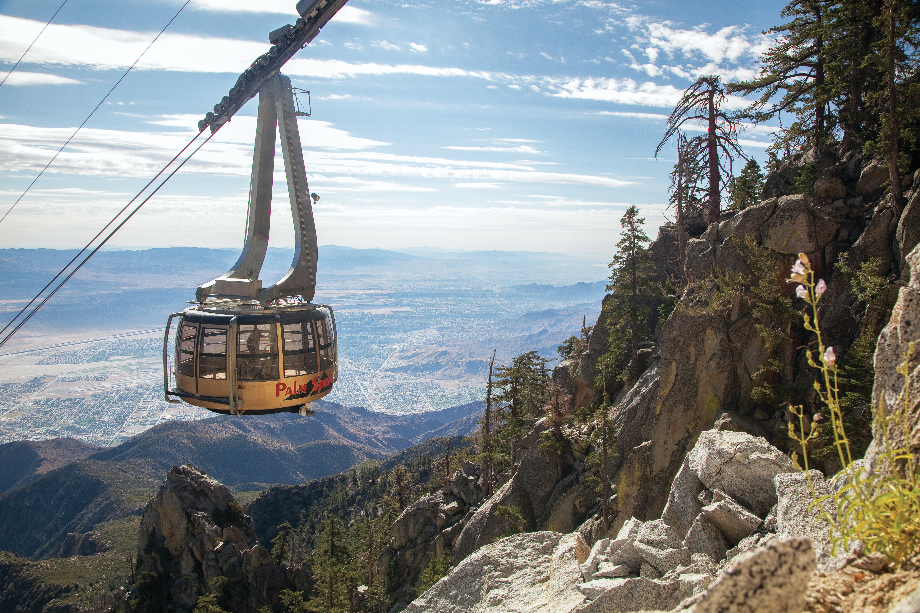 Take a sky view tour of Palm Springs