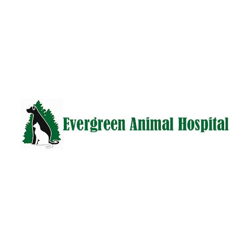 Evergreen Animal Hospital Photo