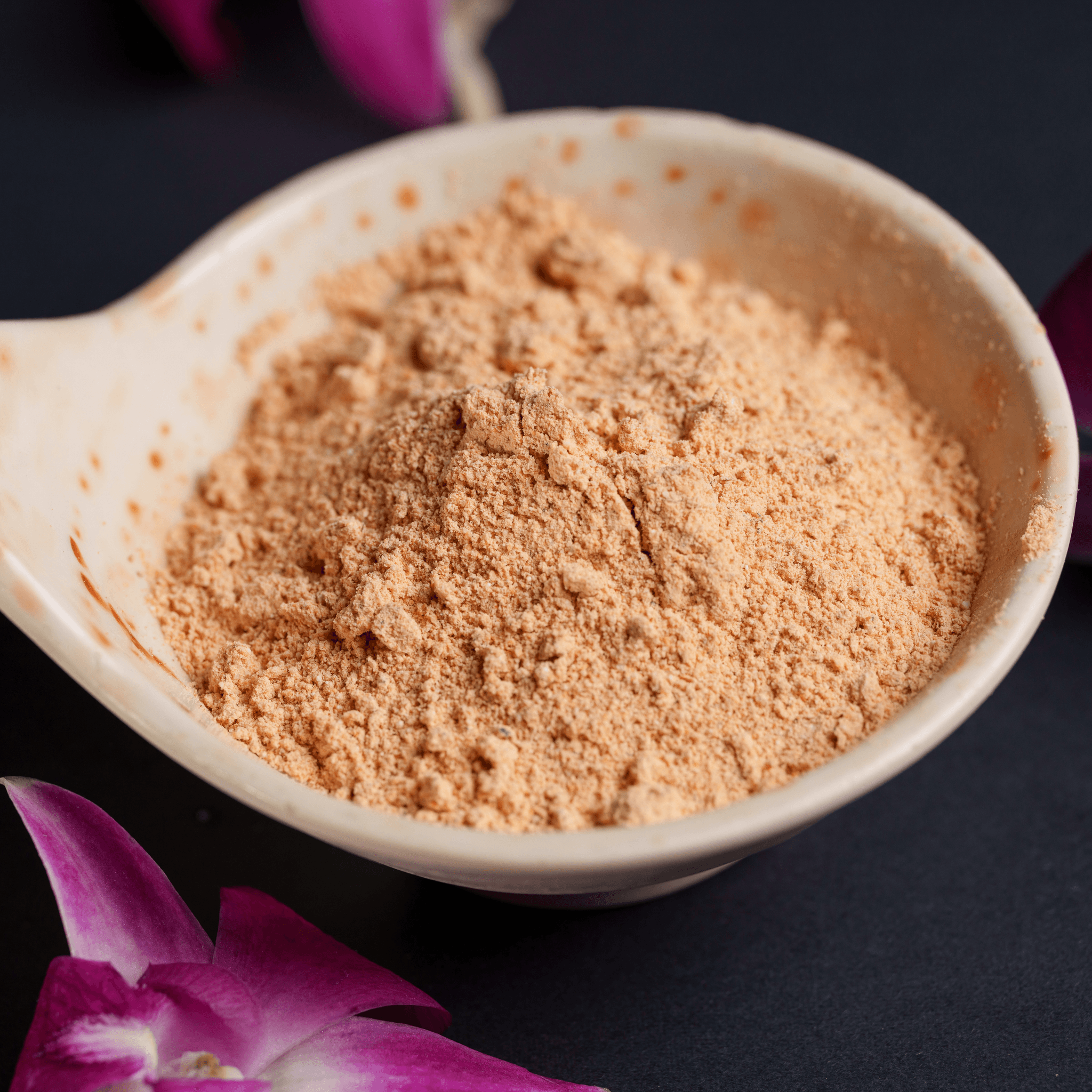 Malogapodi Podi (Chutney Powder)