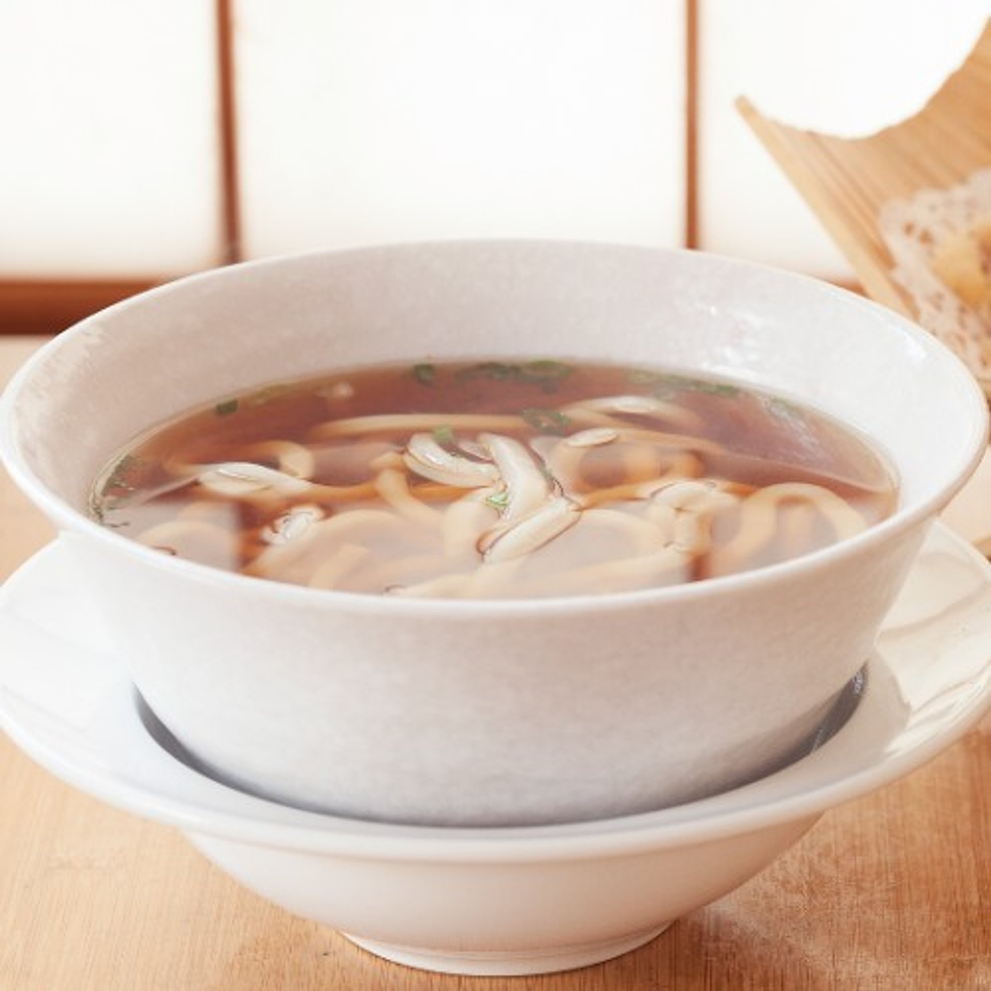 Plain Udon Noodles Soup