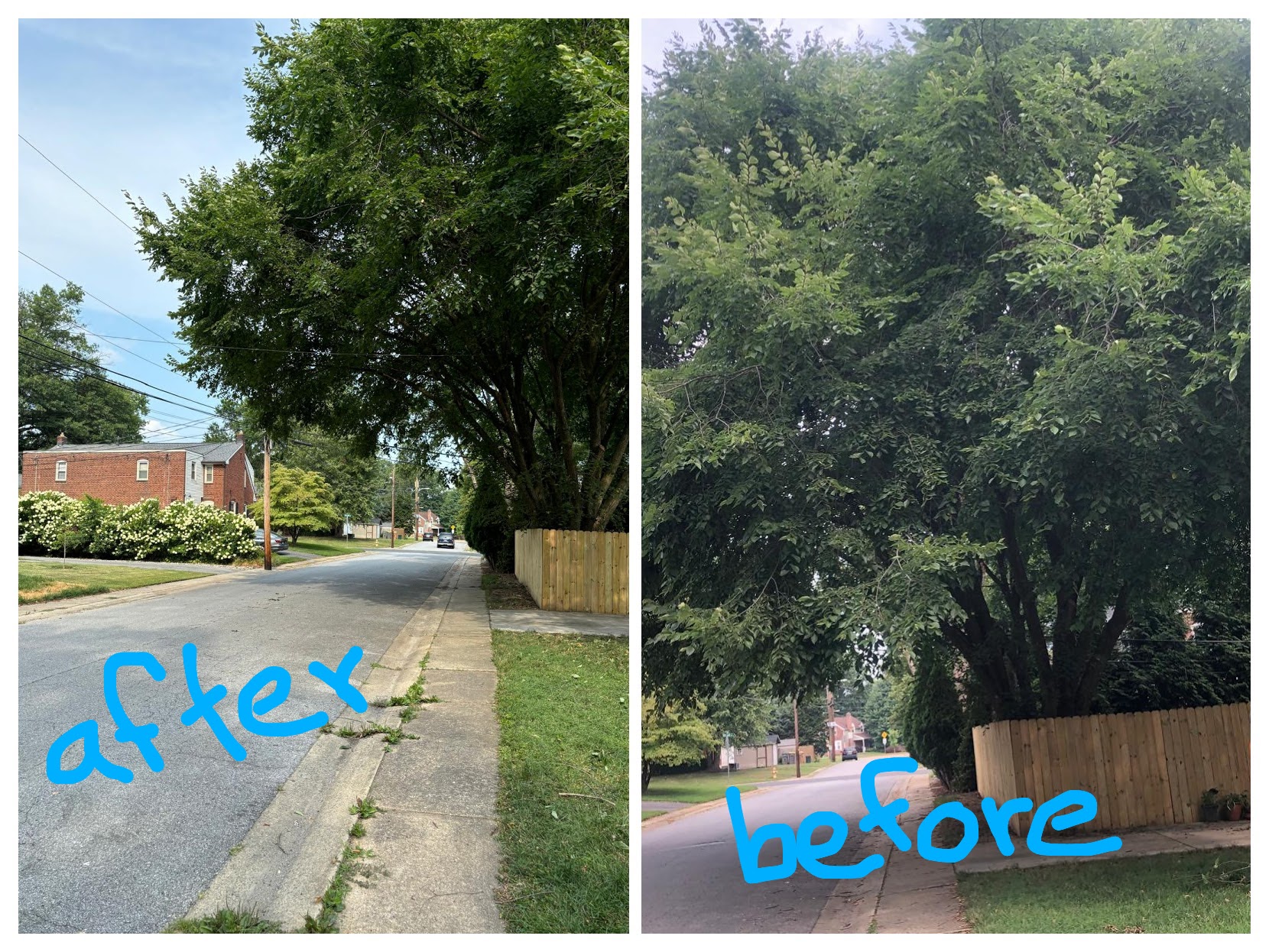 JJ Flores landscaping Image