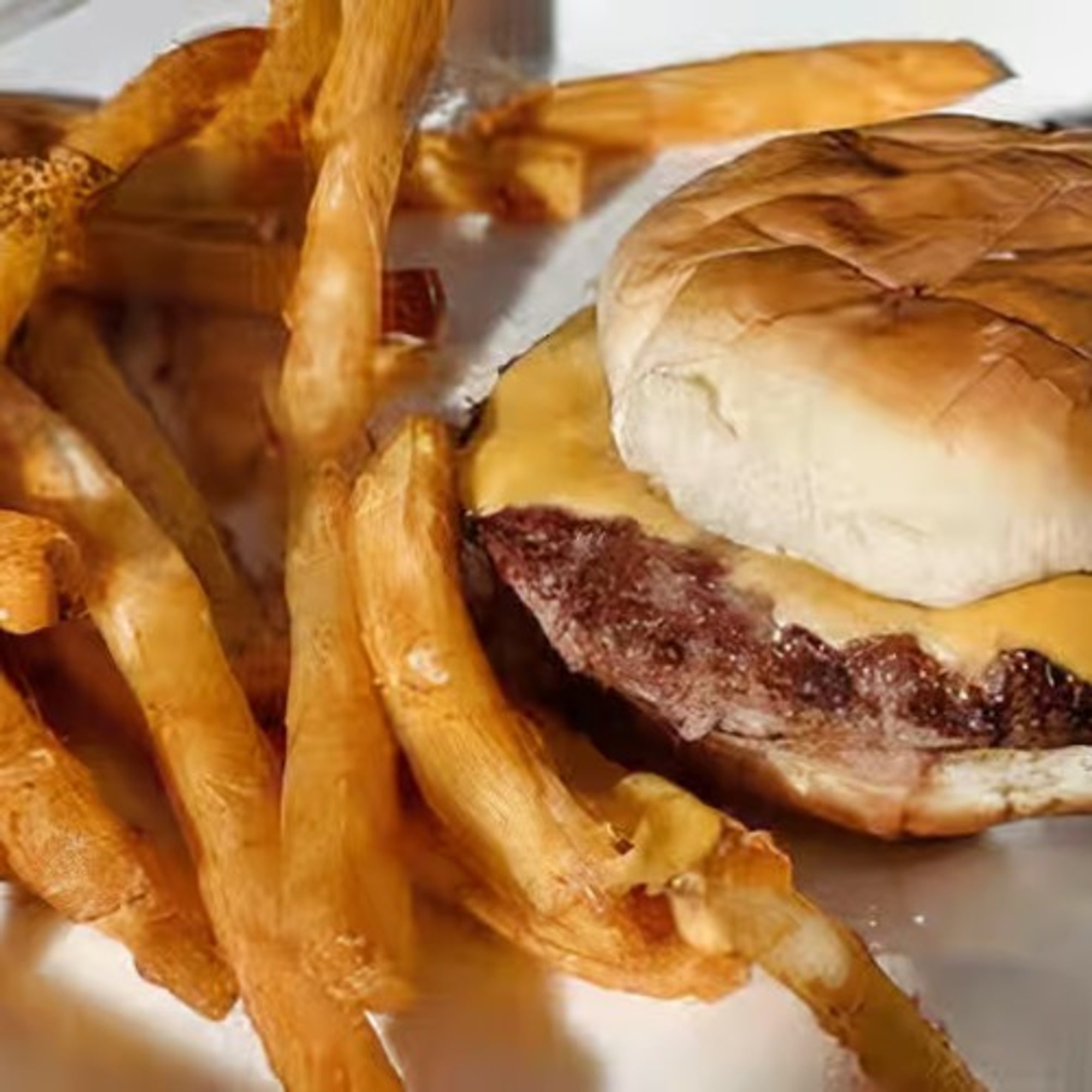 N2. Kids Cheeseburger and Fries