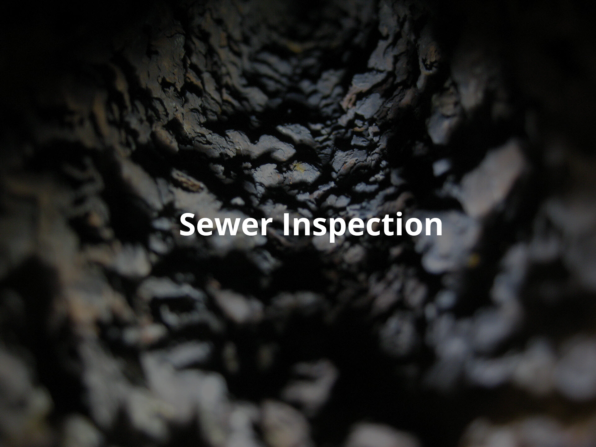 Sewer Inspection