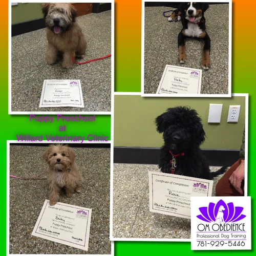 Enrichment Classes
