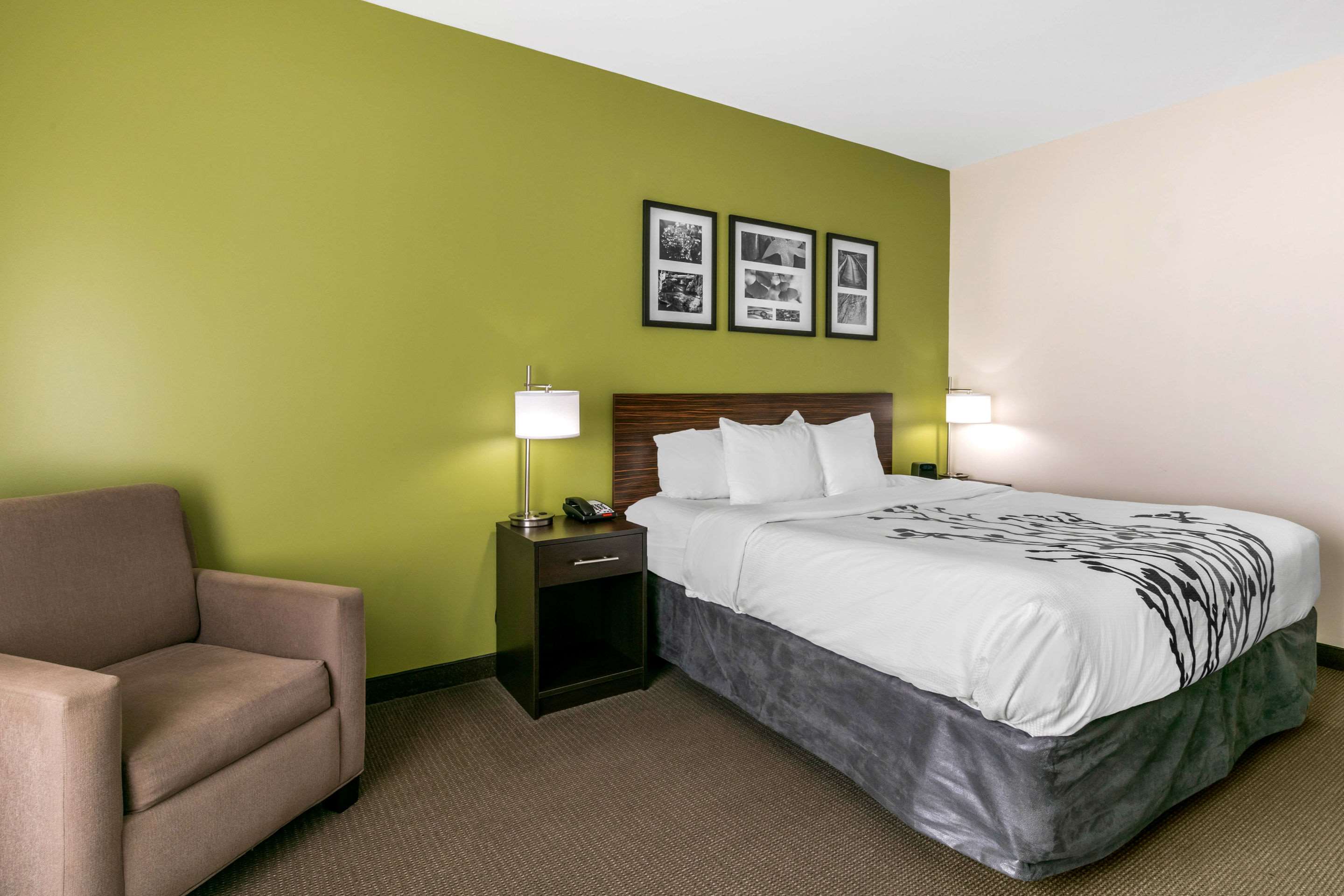 Sleep Inn & Suites Photo