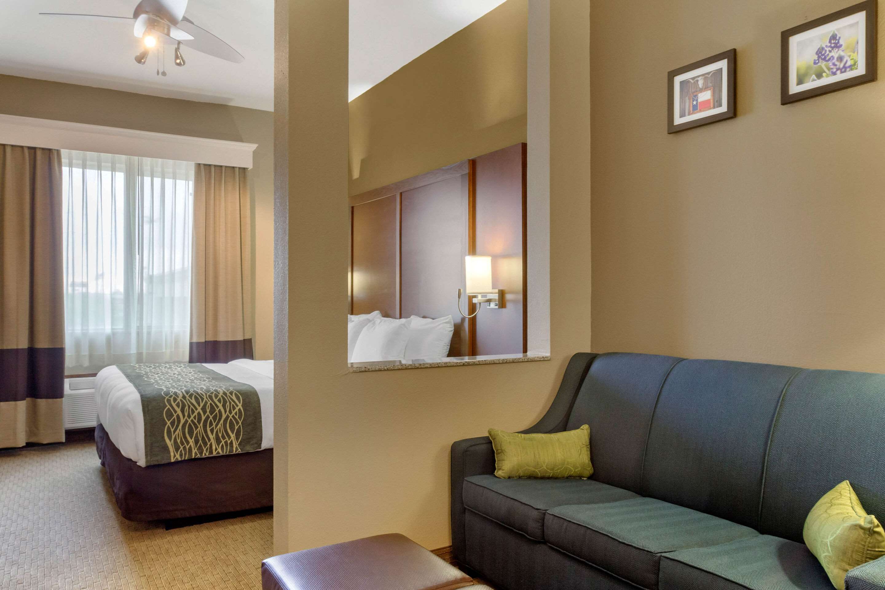 Comfort Inn & Suites Photo