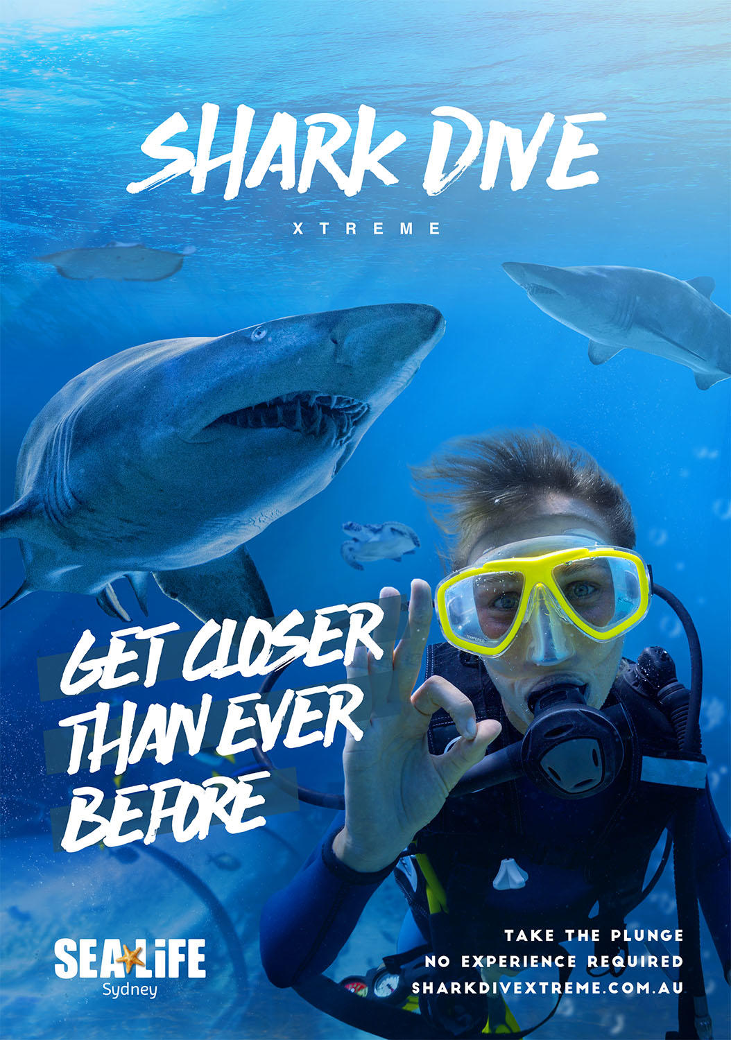 Shark Dive Xtreme Sydney