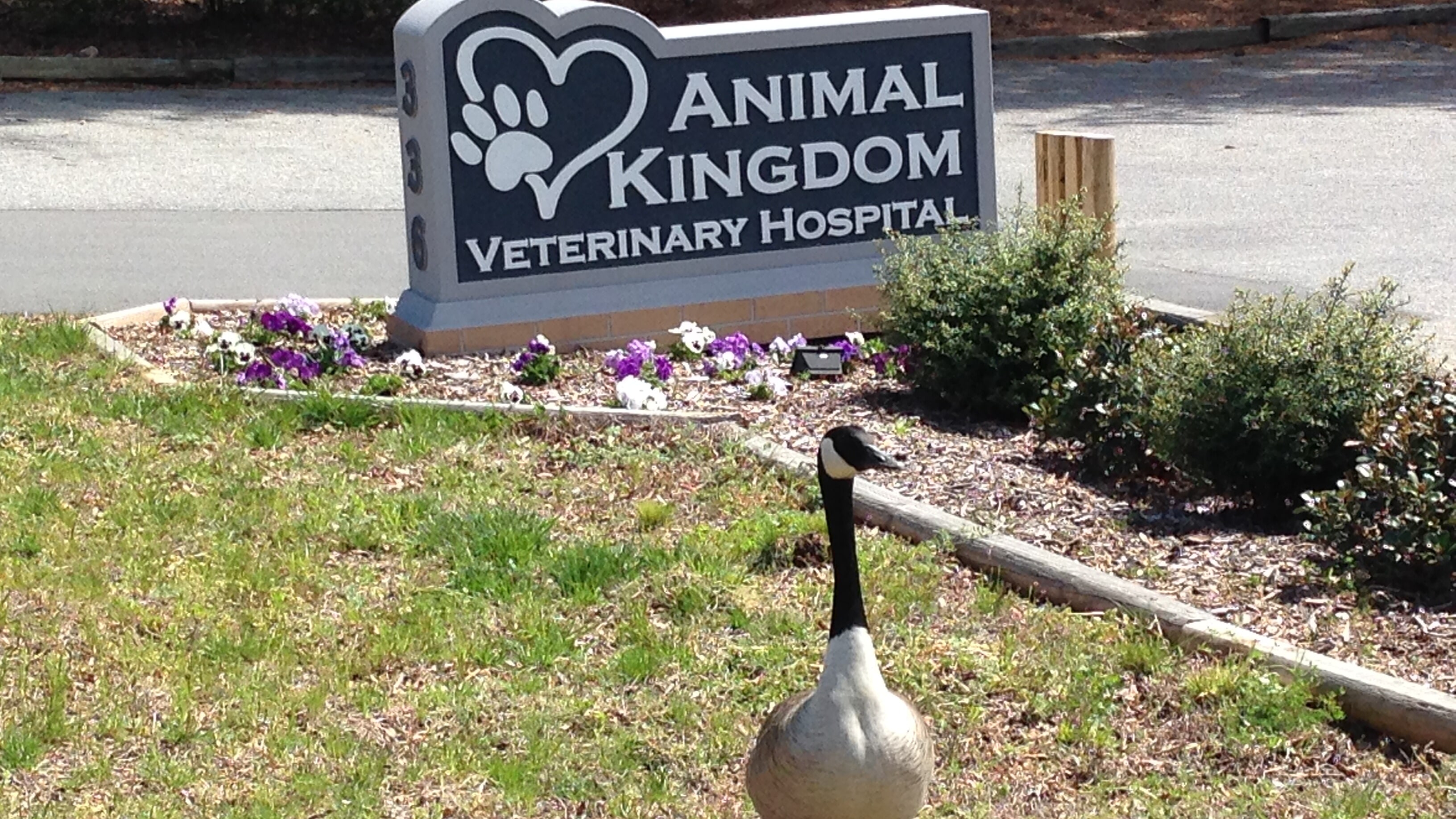 Animal Kingdom Veterinary Hospital Photo