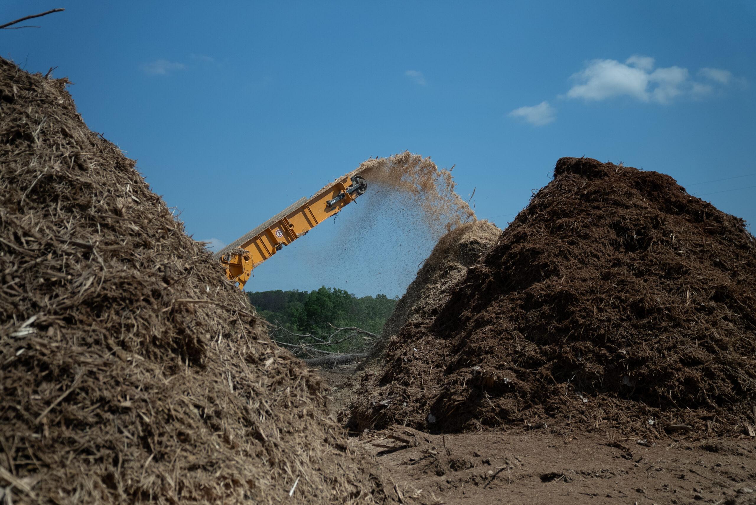 Big Woody's Tree Service Image