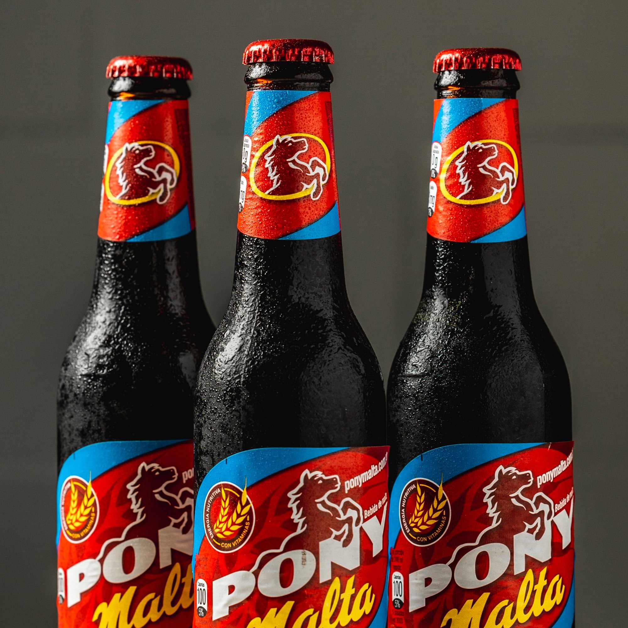Pony Malta