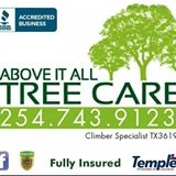 Above It All Tree Care