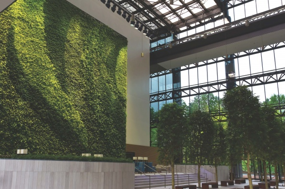 Foliage Design Systems Atlanta Image