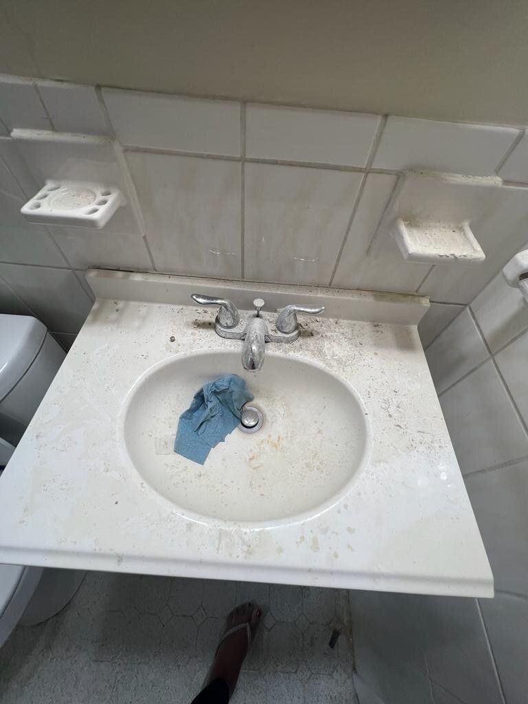 Neia's Shiny Solutions Image