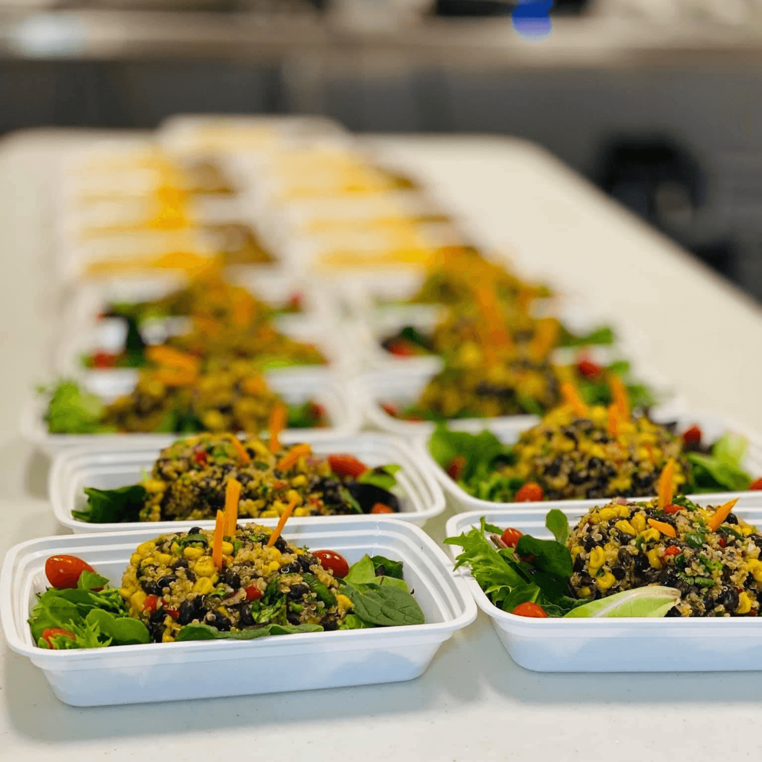 14 Day Meal Plan / 3 Meals a Day (42 Meals)
