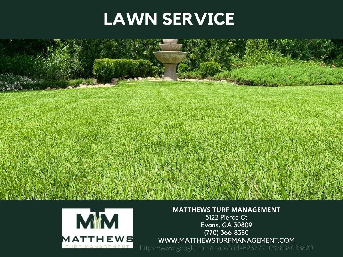 lawn care service augusta ga