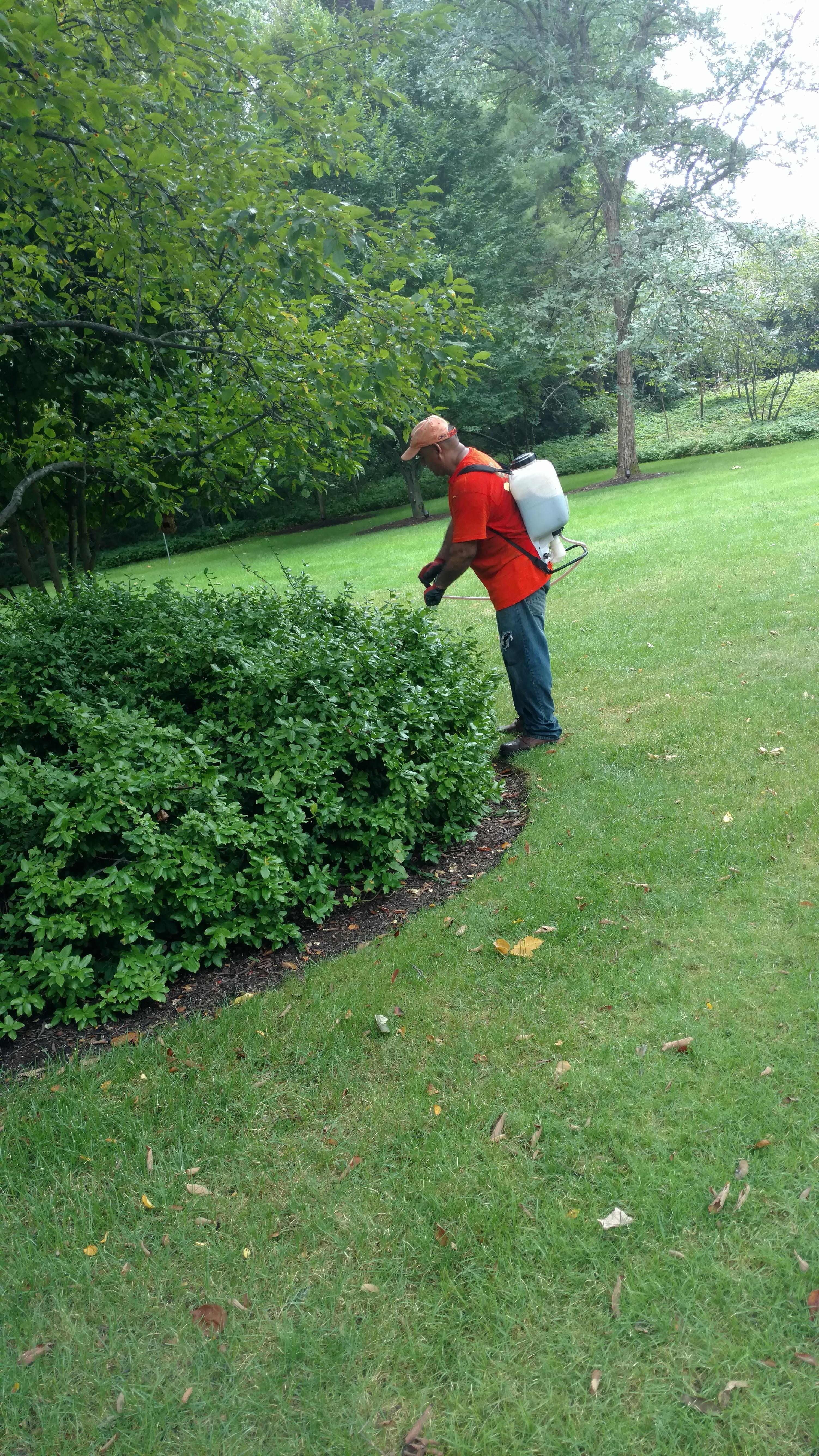 New Beginning Tree Service Company Image