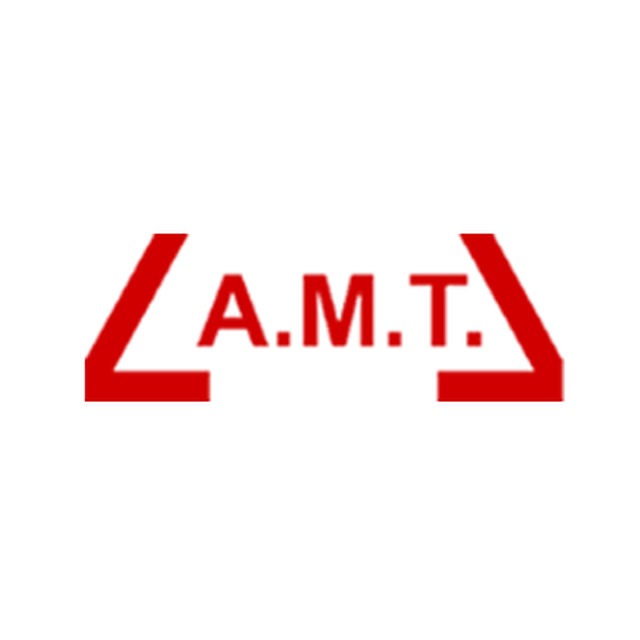 Amt Auto Electrical Services Motor Vehicle Mechanics in Eltham SE9